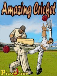 amazingcricket mobile game