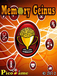 Memory Geinus Mobile Game 